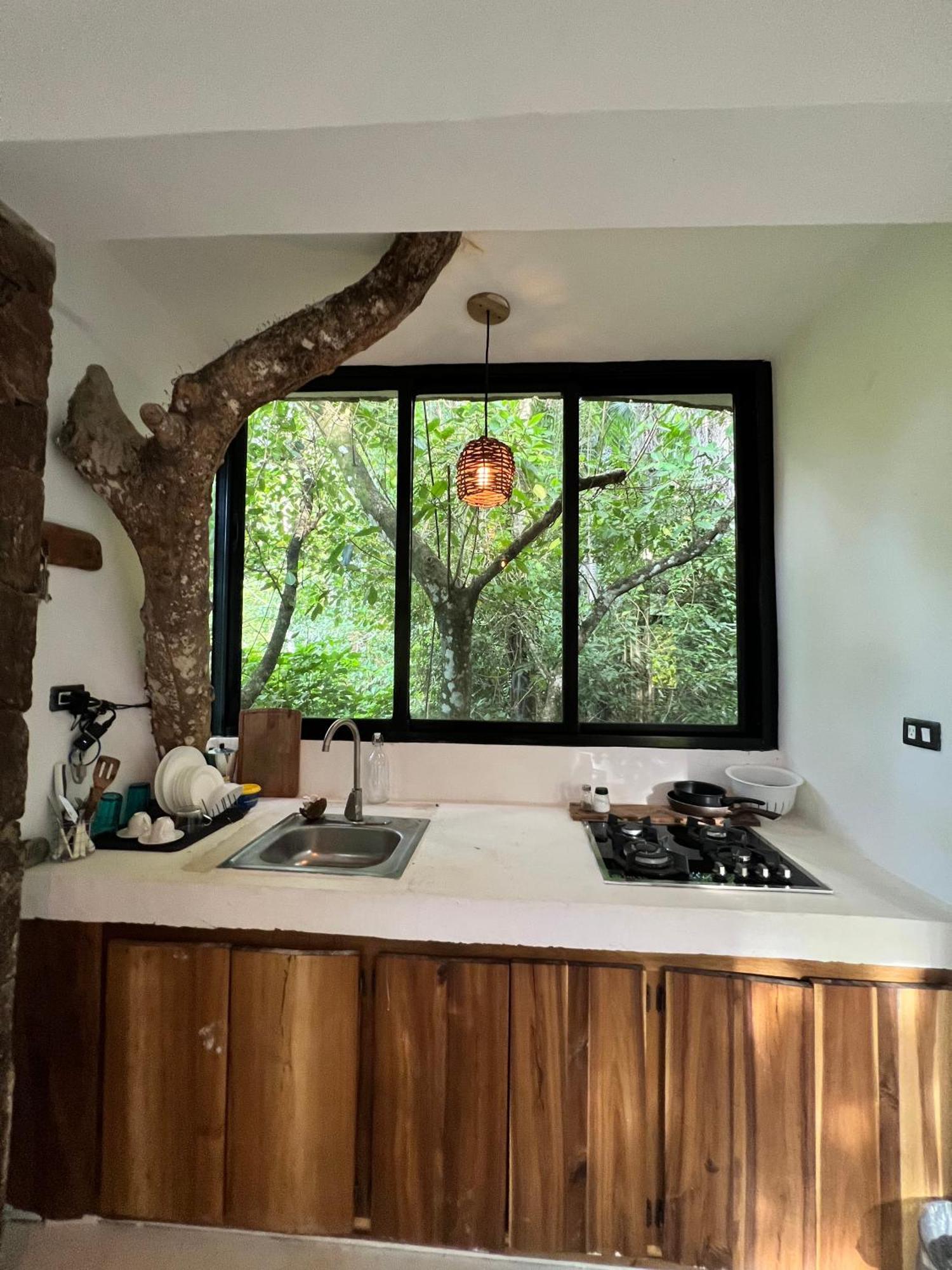 Taino Beach Lofts El Valle Εξωτερικό φωτογραφία